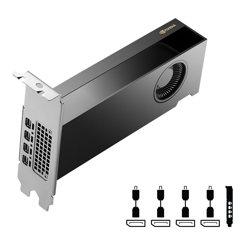 PNY NVIDIA RTX 2000 Ada Generation 16GB GDDR6 ECC PCIe 4.0 x8 4xmDP Carte Vidéo (VCNRTX2000ADA-PB)