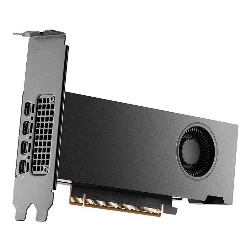 PNY NVIDIA RTX PRO 2000 Blackwell 16GB GDDR7 ECC PCIe 5.0 x8 4xmDP Carte Vidéo (VCNRTXPRO2000B-PB)