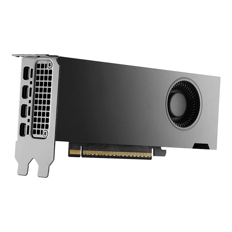PNY NVIDIA RTX PRO 4000 Blackwell SFF Edition 24GB GDDR7 ECC PCIe 5.0 x8 4xmDP Carte Vidéo (VCNRTXPRO4000BLP-PB)