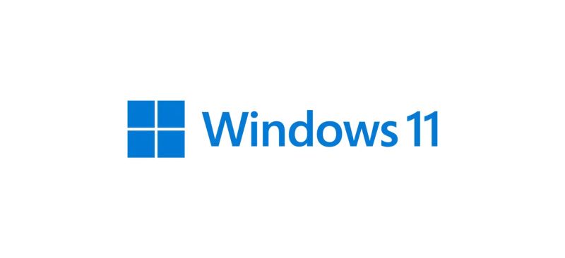 Microsoft Windows 11 Pro 64bit - OEM - License Seulement - Anglais
