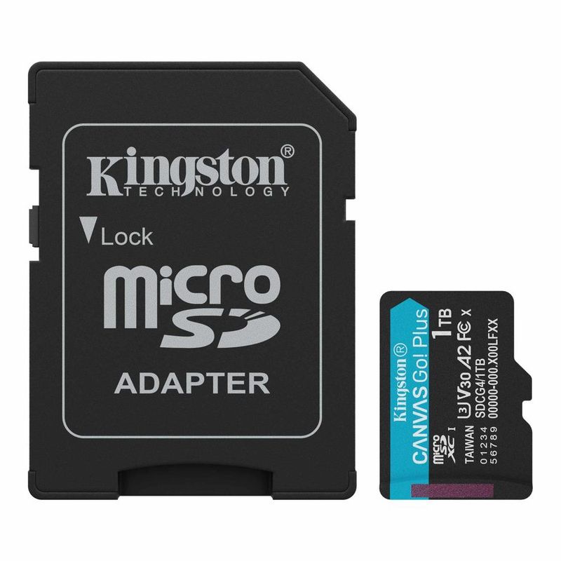 Kingston Canvas Go! Plus 1TB Class 10, UHS-I, U3, V30, A2 Carte microSD
