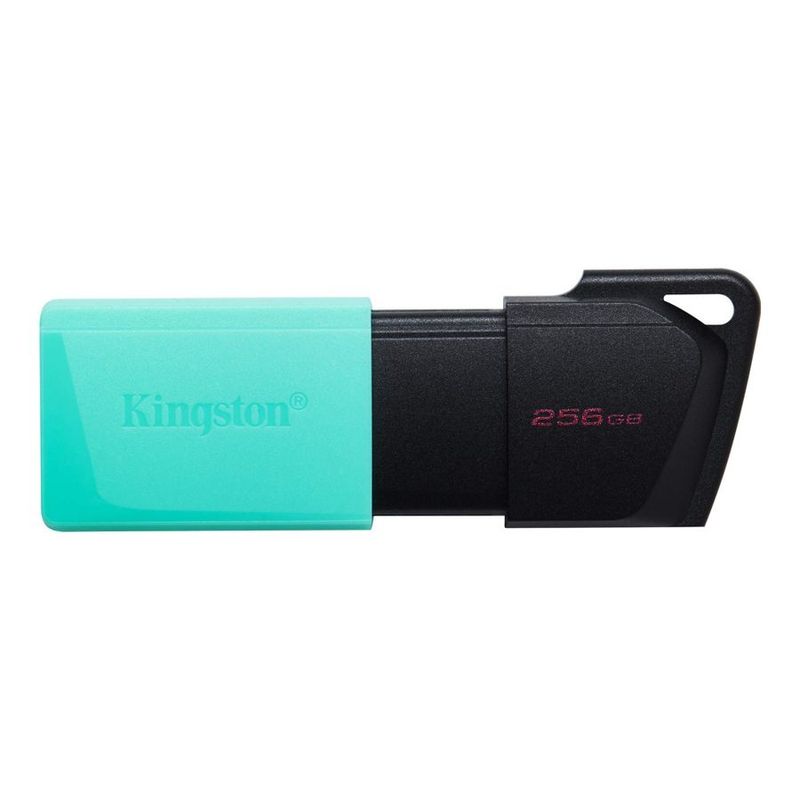 Kingston DataTraveler Exodia M 256GB USB 3.2 Gen 1 Clé USB (DTXM256GB)